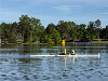Catawba Yacht Club Competes at 2026 NC Rowing Championships